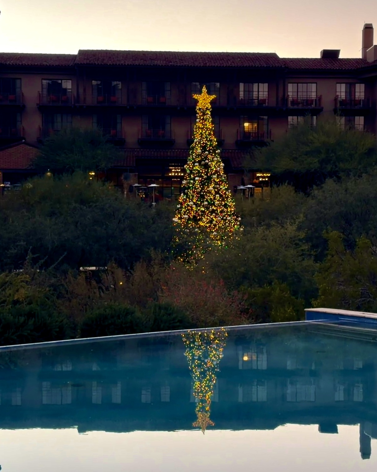 Christmas in the desert